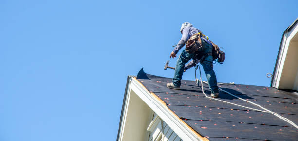 Best Metal Roofing Contractor  in Jeffersonville, IN